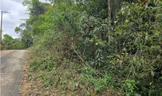 Imóvel 2942956 [''] - ['Estrada dos Camirangas, Guapeva, Juquitiba /SP, CEP 06950-000 (coordenadas aproximadas dos pontos extremos da testada do imóvel: S23.96337, W47.19198 e S23.96337, W47.19589)'] ['Guapeva'] - ['Juquitiba']/['SP'] - 1