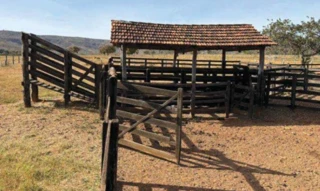 Imóvel 2995656 [''] - ['Rodovia MG-479,, zona rural - Buritis - MG'] [''] - ['Buritis']/['MG'] - 1