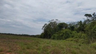 Imóvel 2567856 [''] - ['Tapurah, MT'] [''] - ['Tapurah']/['MT'] - 1