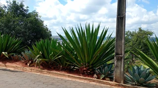 Imóvel 2711556 [''] - ['Rua 4, Loteamento Chácara das Rosas'] [''] - ['Três Corações']/['MG'] - 1