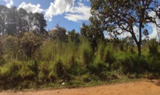 Imóvel 1567756 ['IDR176856'] - ['Rua 44, Quadra 144, Lote 03, Mansões de Recreio Estrela Dalva IV, Luziânia, GO, 72852-550'] ['Mansões de Recreio'] - ['Luziânia']/['GO'] - 1