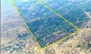 Imóvel 2970956 [''] - ['Projeto de Assentamento Dirigido Burareiro, Lote Rural nº 14/B, da Gleba 25, Zona Rural, CACAULANDIA - RO, CEP 76.889-000'] [''] - ['Cacaulândia']/['RO'] - 1