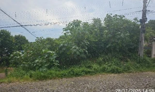 Imóvel 2664456 ['8444427340480'] - ['RUA ERNESTINA TASSO DA SILVA,N. SN LOTE 1, QUADRA 04, PARAOBÉ - CEP: 95630-000, PAROBE - RIO GRANDE DO SUL'] ['Mariana'] - ['Parobé']/['RS'] - 1