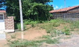 Imóvel 2594056 ['1444419201940'] - ['RUA IDALINO GOMES DA CUNHA,N. S/N QD L LT 19 ANTIGA RUA PROJETADA, LOT ANA LUIZA - CEP: 55565-000, SAO JOSE DA COROA GRANDE - PERNAMBUCO'] [''] - ['São José Da Coroa Grande']/['PE'] - 1