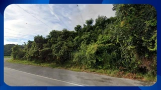 Imóvel 2634356 [''] - ['Av. Paulista, 1499, Sala n.102, no primeiro andar'] [''] - ['Águas De Lindóia']/['SP'] - 1