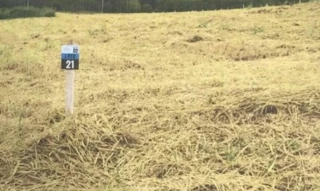 Imóvel 2645156 [''] - ['Rua 01, s/n - Lote 21 da quadra 02 - Royal Residence - Dracena / SP'] ['Jardim Brasilandia'] - ['Dracena']/['SP'] - 1