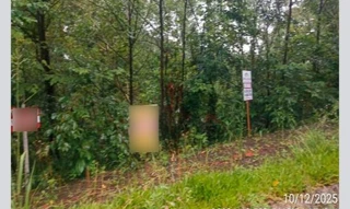 Imóvel 3031256 [''] - ['Rua Bosque das Coniferas S/N (Lote 31 da Quadra 02)'] [''] - ['Nova Petrópolis']/['RS'] - 1