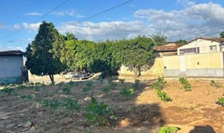 Imóvel 2732856 [''] - ['Rua Raimundo Rodrigues Torres, s/n'] [''] - ['Portalegre']/['RN'] - 1