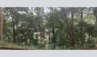 Imóvel 2974356 [''] - ['Estrada Adelmar Tavares, 100, Condominio Roseiral Area 290, Parque Do Imbui'] ['Parque do Imbui'] - ['Teresópolis']/['RJ'] - 1