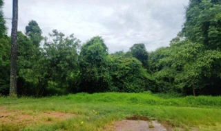 Imóvel 2615056 [''] - ['Rua Alberto Karas, Porto das Laranjeiras'] ['Porto das Laranjeiras'] - ['Araucária']/['PR'] - 1