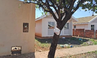 Imóvel 3069257 ['8787719537952'] - ['RUA BENEDITO ANTONIO DO NASCIMENTO,N. 105 LT 10 QD 24, RESIDENCIAL ALFREDO BENEDETTI - CEP: 14645-718, MORRO AGUDO - SAO PAULO'] [''] - ['Morro Agudo']/['SP'] - 1