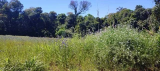 Imóvel 2724657 [''] - ['Esquina Marcelo'] [''] - ['Entre-Ijuís']/['RS'] - 1