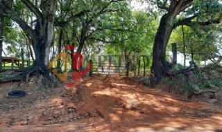 Imóvel 2918857 [''] - ['Estância P.O., localizado no distrito e município de Parapuã'] [''] - ['Osvaldo Cruz']/['SP'] - 1