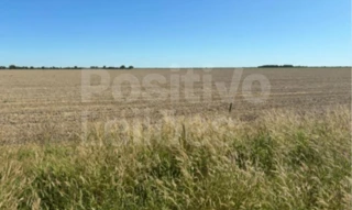 Imóvel 2497157 [''] - ['São Desidério - BA, São Desidério - BA'] [''] - ['São Desidério']/['BA'] - 1