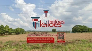 Imóvel 2484857 [''] - ['Lot. Sao Domingos , S/N , Lote 08 - Nova Altamira'] ['Nova Altamira'] - ['Altamira']/['PA'] - 1