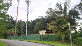 Imóvel 2645957 [''] - ['Rod. Procurador Haroldo Fernandes Duarte - - Do Km 505,200 Ao Km 506,699 - , S/N , Gleba 02 Área 20 - Santa Rita Do Bracui'] [''] - ['Angra Dos Reis']/['RJ'] - 1