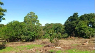 Imóvel 2726957 [''] - ['Loteamento Jardim Santa Luzia Iii, S/N, Paicandu Loteamento Jardim Santa Luzia Iii, Jardim Santa Luzia Iii, Paiçandu, PR, 87140000, Paiçandu, PR'] [''] - ['Paiçandu']/['PR'] - 1