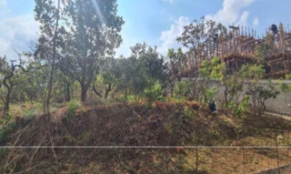 Imóvel 2079957 ['IDR181378'] - ['Travessa Coqueiros – Parque das Árvores, Lote nº 03, loteamento “Residencial Santa Mônica, Santa Maria, Brasilia, DF, 71684-590'] [''] - ['Brasília']/['DF'] - 1