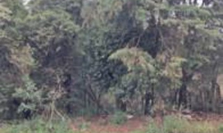 Imóvel 2511957 [''] - ['Vila Broecker, Carazinho'] ['Broecker'] - ['Carazinho']/['RS'] - 1