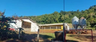 Imóvel 3091257 [''] - ['Linha Rodeio Bonito, s/n, Zona Rural, Chapecó/SC'] [''] - ['Chapecó']/['SC'] - 1