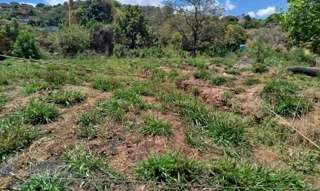 Imóvel 2647958 [''] - ['Gleba 7 - Fazenda da Cruz, RURAL, Rio Acima/MG'] [''] - ['Rio Acima']/['MG'] - 1