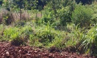 Imóvel 2724658 [''] - ['Esquina Konrad, Barro Preto'] [''] - ['Entre-Ijuís']/['RS'] - 1