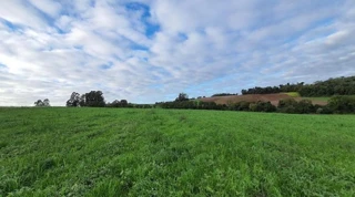 Imóvel 2698558 [''] - [''] [''] - ['outras']/['na'] - 1