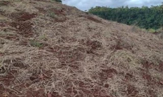 Imóvel 2709758 [''] - ['Linha Nova Seara'] [''] - ['Anchieta']/['SC'] - 1