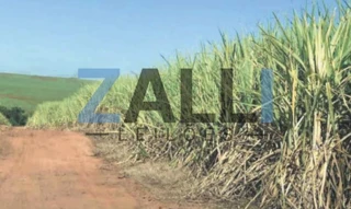 Imóvel 2625258 [''] - ['Área Rural, - Área Rural de Porto Ferreira Porto Ferreira - SP'] [''] - ['Porto Ferreira']/['SP'] - 1