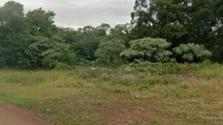 Imóvel 2666858 [''] - ['Av. Alberto Paqualini'] [''] - ['Braga']/['RS'] - 1