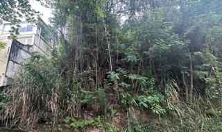 Imóvel 2668358 [''] - [''] [''] - ['Niterói']/['RJ'] - 1