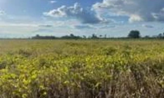 Imóvel 3001658 [''] - ['lote 91, subgleba 06, PF/JOP, gleba Rio Branco, setor São Miguel'] [''] - ['São Miguel Do Guaporé']/['RO'] - 1