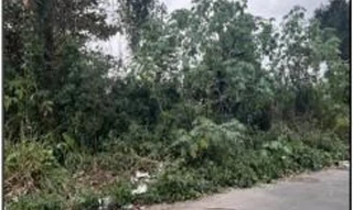 Imóvel 2551558 ['1555522624930'] - ['RUA FROTA AGUIAR FILHO,N. SN LT 23, VARGEM PEQUENA - CEP: 22783-223, RIO DE JANEIRO - RIO DE JANEIRO'] ['Vila Valqueire'] - ['Rio De Janeiro']/['RJ'] - 1