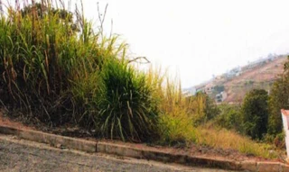 Imóvel 2699758 [''] - ['Rua 03, s/nº - Lote 07 da Quadra C - Loteamento Larez - Juruaia / MG'] [''] - ['Juruaia']/['MG'] - 1