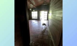 Imóvel 2688758 [''] - ['Rua Vinte e Um de Abril, 690, Marituba, Ananindeua, PA, 67105-160'] ['Centro Mtub'] - ['Marituba']/['PA'] - 1