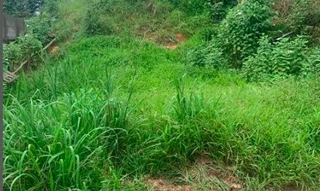 Imóvel 2596658 [''] - ['Nao informado Nao informado'] [''] - ['Miracatu']/['SP'] - 1