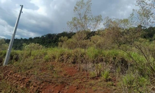 Imóvel 2873758 [''] - ['Linha Missioneiro, Município de Piratuba-SC/'] [''] - ['Piratuba']/['SC'] - 1