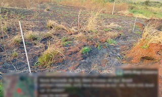 Imóvel 2731358 [''] - ['Rua Domingo Bitencourt da Silveira 3.495 (Lote 06 da Quadra 105)'] [''] - ['Nova Alvorada do Sul']/['MS'] - 1