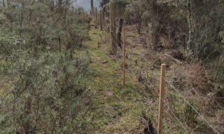 Imóvel 2175758 [''] - ['distrito de Silveira, município de São José dos Ausentes'] [''] - ['São José Dos Ausentes']/['RS'] - 1