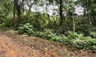 Imóvel 2694959 [''] - ['Estrada Morro do Cedro, 2355 - Progresso - Blumenau / SC'] ['Progresso'] - ['Blumenau']/['SC'] - 1