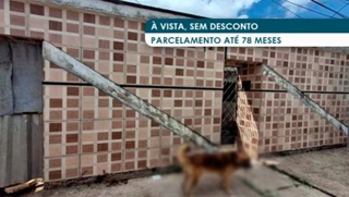 Imóvel 2908759 [''] - ['Rua São Sebastião, 12A, São Bernardo, São Luís, MA'] ['São Bernardo'] - ['São Luís']/['MA'] - 1