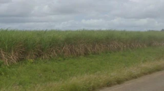 Imóvel 2617259 [''] - ['Rua 31 De Maio, vizinho aos n.s 123 e 127'] [''] - ['Sapé']/['PB'] - 1