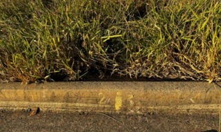 Imóvel 2646659 [''] - ['Rua 06, 3, Lote 03, Quadra A, Residencial Recanto Tropical, Engenheiro Coelho, SP, 13165-000, , Engenheiro Coelho/SP'] [''] - ['Engenheiro Coelho']/['SP'] - 1