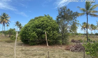 Imóvel 2275459 ['IDR184665'] - ["Rodovia Camilo Calazans de Magalhães (Estrada do Abais), s/n, Quadra 68, Lote 07, Loteamento Vila Rica do Abais, Itaporanga D'ajuda, SE, 49120-000"] [''] - ["Itaporanga D'Ajuda"]/['SE'] - 1