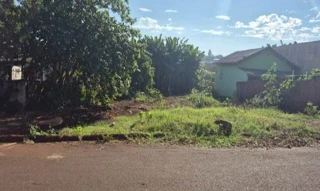 Imóvel 2897159 [''] - ['Rua TEREZA MANTOANI, 170'] [''] - ['Formosa Do Oeste']/['PR'] - 1