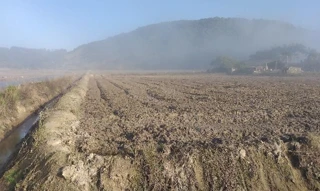 Imóvel 2612459 [''] - ['ESTRADA VICINAL, S/N, ZONA RURAL'] [''] - ['Meleiro']/['SC'] - 1