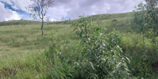 Imóvel 2721159 [''] - ['Estrada Municipal, Colônia Joaquim Delfino, Cristina/MG'] [''] - ['Cristina']/['MG'] - 1