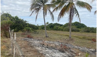Imóvel 2955659 [''] - ["Estrada do Abais, s/n - Quadra 104, Lote 32 - Loteamento Vila Rica do Abais - Itaporanga d'Ajuda / SE"] [''] - ["Itaporanga D'Ajuda"]/['SE'] - 1