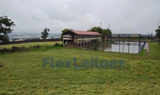 Imóvel 2628059 [''] - ['Rua Pedro Mescolotte,'] [''] - ['Presidente Prudente']/['SP'] - 1