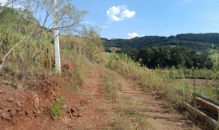 Imóvel 2873759 [''] - ['Linha Missioneiro, Município de Piratuba-SC/'] [''] - ['Piratuba']/['SC'] - 1